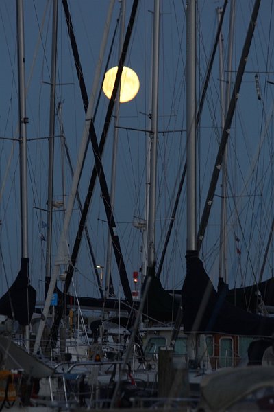 AA02.jpg - Een mooie maan gefotografeerd tijdens het blauwe uur met een supermaan zoals de fotograaf als extra toelichting bij deze foto gaf.