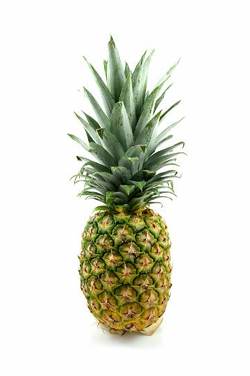 AA03.jpg - Je kan hem bijna ruiken. Jammer dat je de "hulpstukken" die zijn gebruikt om de ananas rechtop te houden zo goed kan zien aan de onderkant.