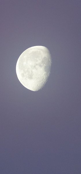 AD03.jpg - De maan hoeft beslist niet altijd vol te zijn om er een mooie foto van te maken.