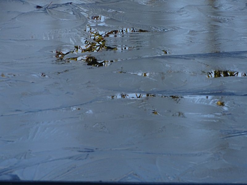 AL01.JPG - Het ijs is hier blauw maar ik kan zien dat dat de weerspiegeling van de blauwe lucht is. Het net niet scherpe ijs maar de haarscherpe weerspiegeling van de takken in het water geven deze foto ook weer net iets extra's.