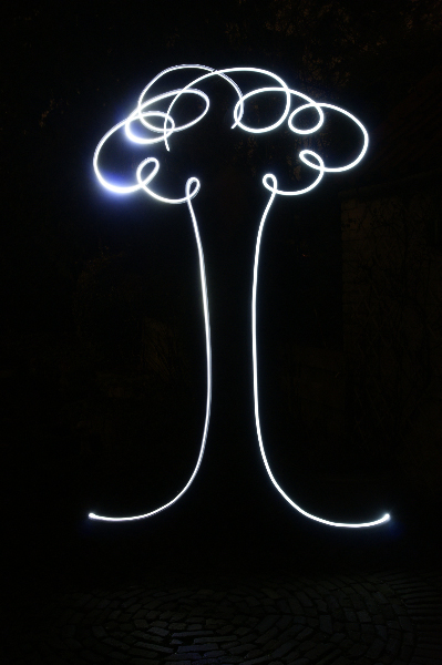 AC02.jpg - Dit is letterlijk schrijven met licht. Ook weer door gebruik te maken van een zaklantaarn een simnpele boom.