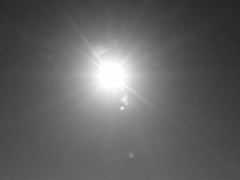 AB03.jpg - Zo recht tegen de zon in krijgt de zon door de lamellen van je diafragma bijna altijd zichtbare stralen.