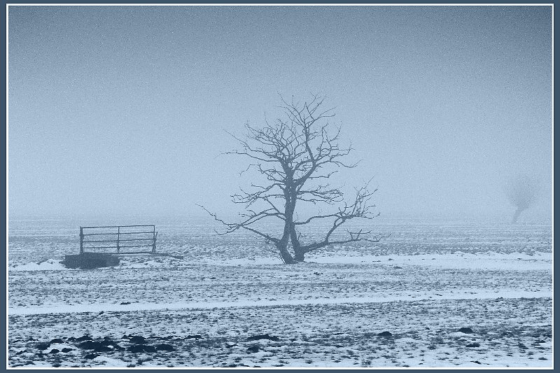 AI03.jpg - Heel fraai dit mistige winterse landschap.