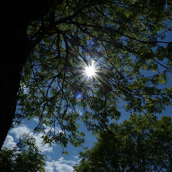 AC01.JPG - Ook hier mooie "zonnestralen" door het kleine diafragma gat. Door het pal tegen de zon in fotograferen zijn er wel wat lichtvlekken iets onder de zon aanwezig doordat het licht op het lensoppervlak scheen.