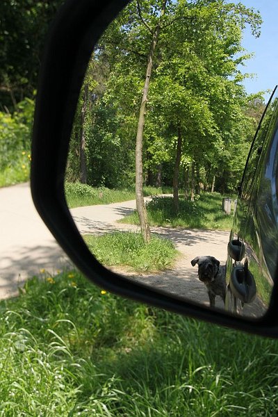 AM02.jpg - Leuk dit spiegelbeeld in de achteruitkijkspiegel van een auto. Je kan het beeld nog iets aparter krijgen door je camerastandpunt zo te nemen dat de rand van de weg en de rand van de weg in het spiegelbeeld lijken door te lopen aan de bovenkant. Het kost wat moeite maar het lukt uiteindelijk wel.