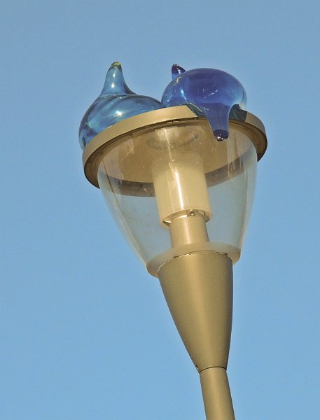 AC03.jpg - Op diverse plaatsen in Amersfoort zag ik de afgelopen tijd ook deze glazen kunstobjecten op lantaarns. Ik heb alleen wat moeite met de scheve lantaarnpaal. Maar wat belichting en scherpte betreft is de foto heel mooi.