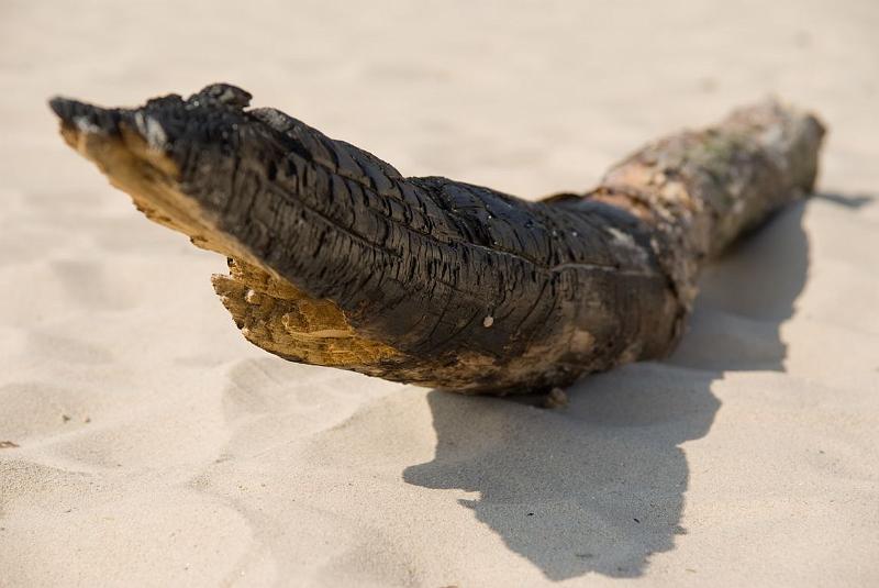 AH03.jpg - Mooi die vorm van dat stuk hout in het witte zand.