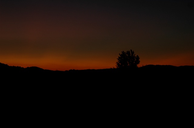 AA02.jpg - Het laatste "licht" van de zonsondergang. Dit geeft de foto wel een heel bijzondere sfeer.