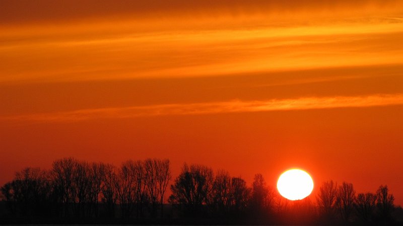 AE02.JPG - Heel mooi. Ook een wat andere compositie door die zon niet zo "standaard" in het midden te zetten. Misschien had hij zelfs nog wel iets meer naar rechts gemogen.