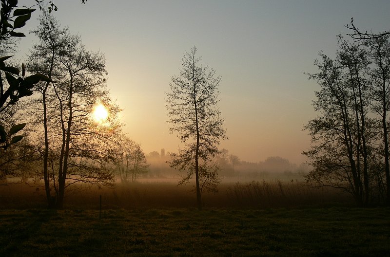 AJ01.jpg - Je moest er redelijk vroeg voor op, maar dan heb je ook wat. Mist en een zonsopgang heel mooi.