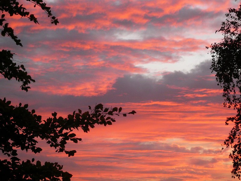 AK03.JPG - Mooie lucht en goede belichting.