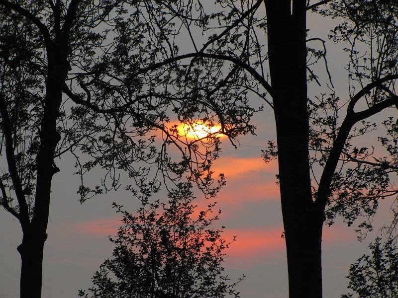 AL02.jpg - Ondergaande zon en bomen blijft een goede combinatie.