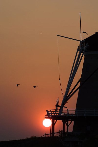 AM01.jpg - Die twee vliegende vogels geven de foto net even dat beetje extra.