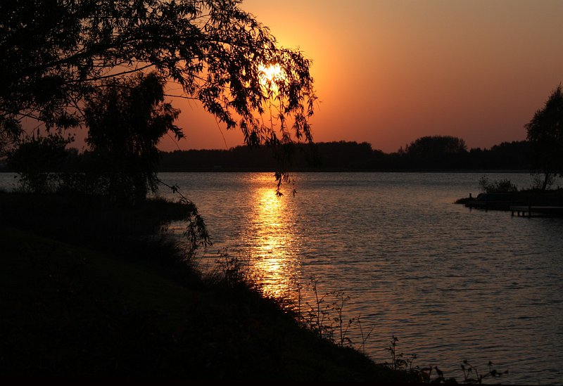 AO03.jpg - Mooi die tak voor de zon. Met die hele streep van zonlicht over het water een sfeer plaatje.