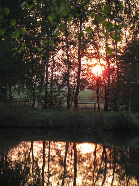 AP01.JPG - Om de sfeer wat sterker te maken had hier waarschijnlijk een belichting van -1/2 een beter resultaat gegeven. Wat de compositie betreft een mooie foto.