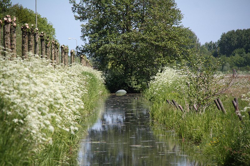 AA01.JPG - De natuur heeft uiteraard vele tinten groen om een leuke compositie mee te maken.