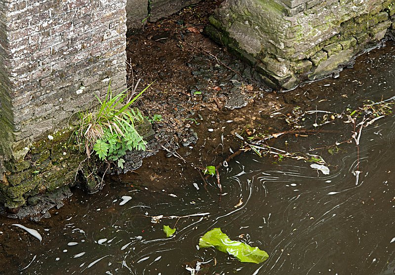 AC02.jpg - Een echt groen rommeltje! Tot in de donkerste hoekjes perfect belicht.