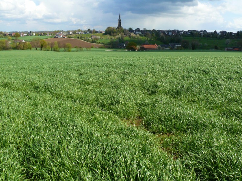 AJ03.jpg - Een mooi groen heuvellandschap.