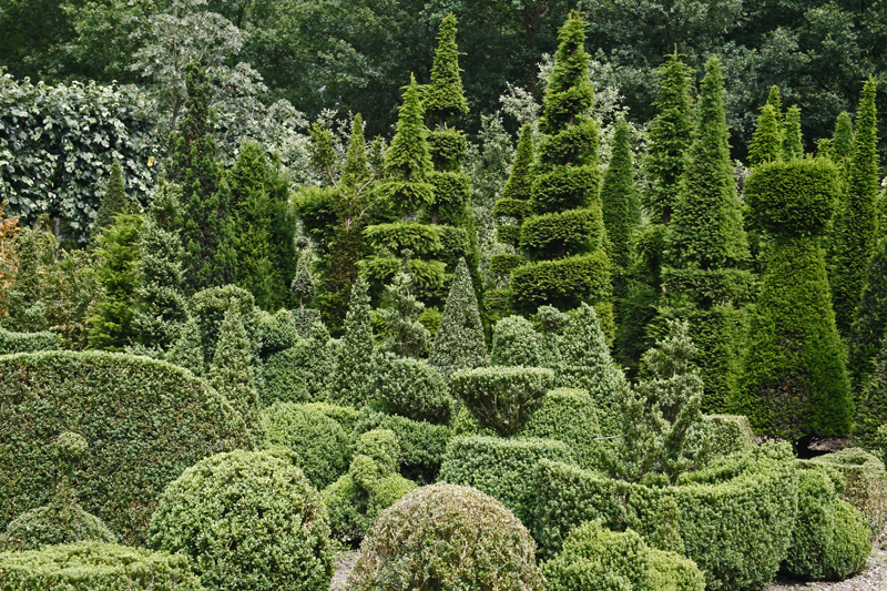 AQ01.jpg - Heel mooi al die tinten groen. Alle gesnoeide boomvormen maken het nog extra apart.