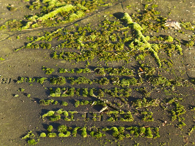 AQ03.jpg - Op een oude begraafplaats is veel groen te vinden.