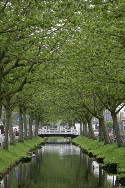 AR01.JPG - Een mooi groen doorkijkje over het water.