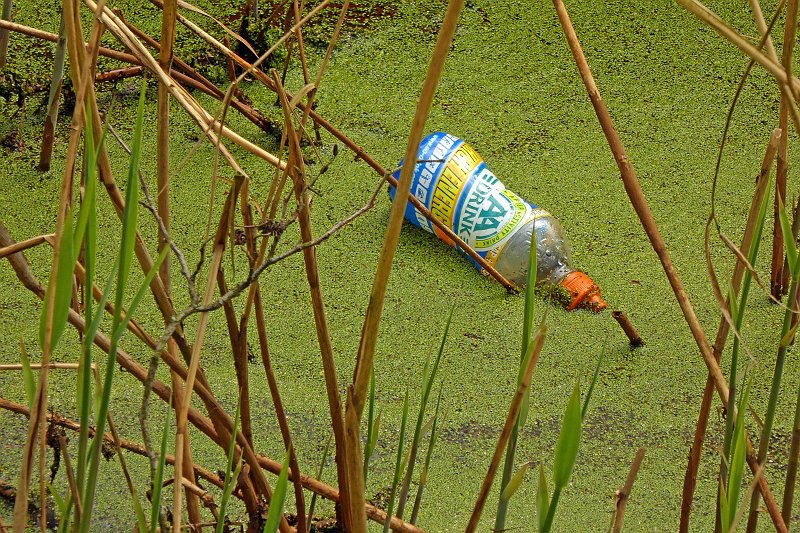 AD01.jpg - Zwerfvuil, in 9 van de 10 gevallen helaas plastic. Ik ken de situatie niet maar zou voor de compositie indien mogelijk de fles op 1/3 van links en 1/3 van onder in beeld hebben genomen. Belichting en scherpte zijn prima.
