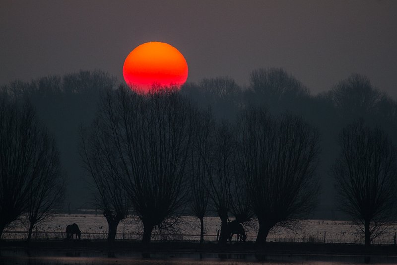 AA02.jpg - Een landschapsfoto gemaakt met een teleobjectief van 400mm daardoor komt de opkomende zon zo groot in beeld. Een geweldige scherpte en een hele mooie sfeer.