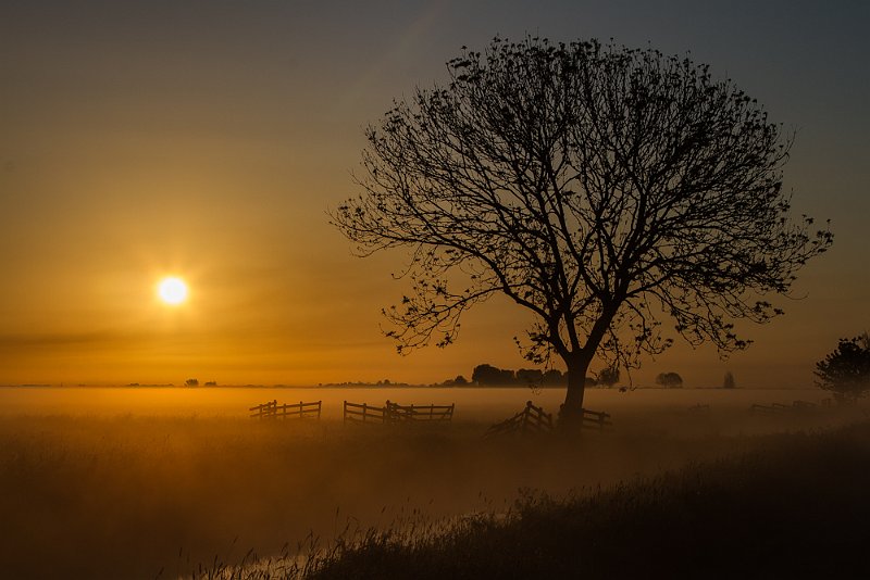 AA03.jpg - Ook dit is een mooie sfeer foto van een opkomende zon. Hier dus met een veel korter brandpunt (47mm) van een zoomobjectief. Door dit kortere brandpunt dus een veel kleinere zon.