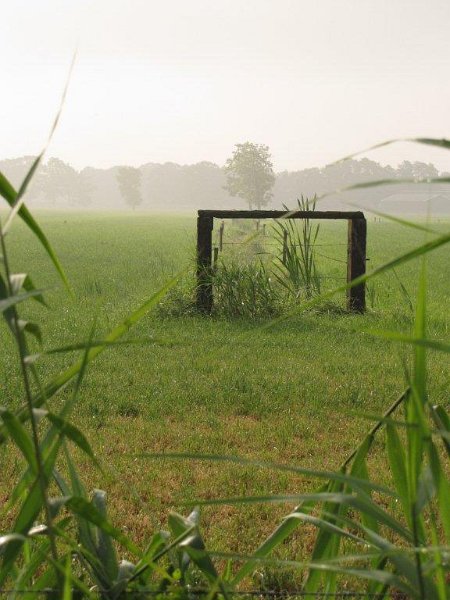 AG03.jpg - Mooi zo'n stuk hek in het weiland. De mist op de achtergrond en de rietstengels op de voorgrond geven het geheel een extra diepte.