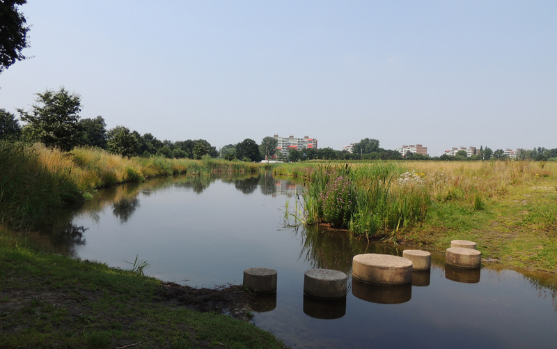 AB01.jpg - Leuk landschap met mooie cirkels.