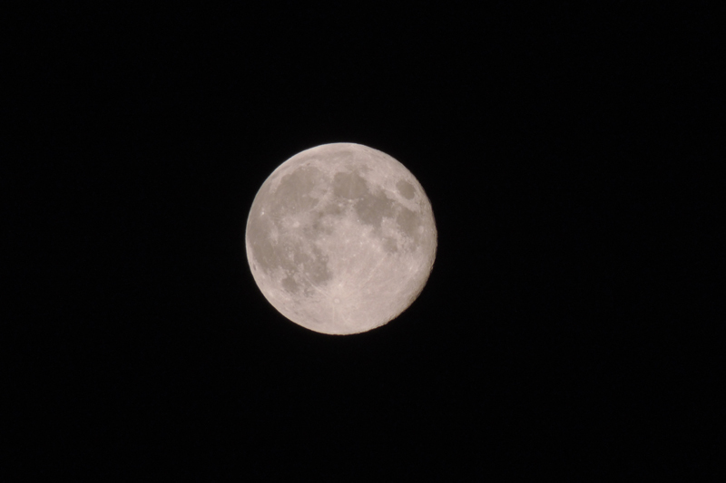 AB02.jpg - Goed belicht. Hier zie je het voordeel van een hybridecamera extra duidelijk. Een telebereik van (omgerekend naar kleinbeeld) 1000mm.