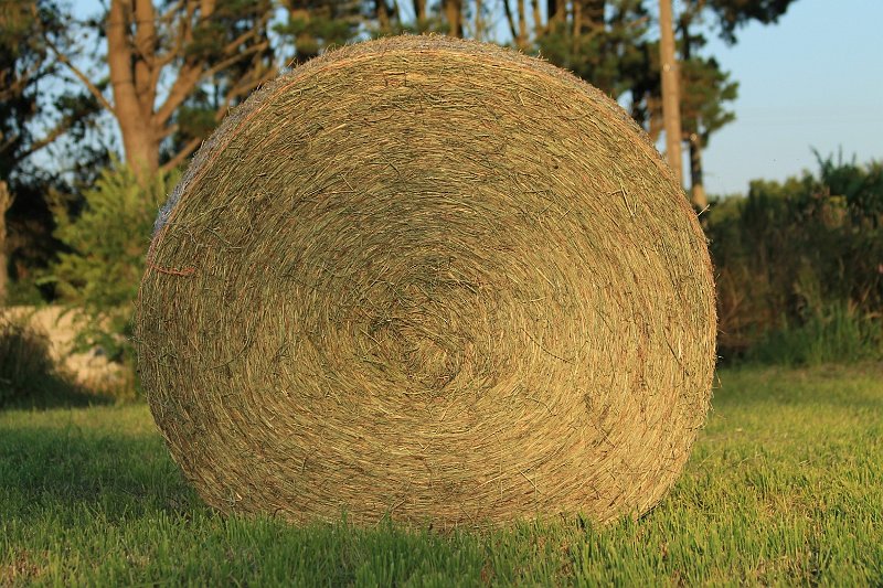 AH01.jpg - En nog meer natuurlijke cirkels.
