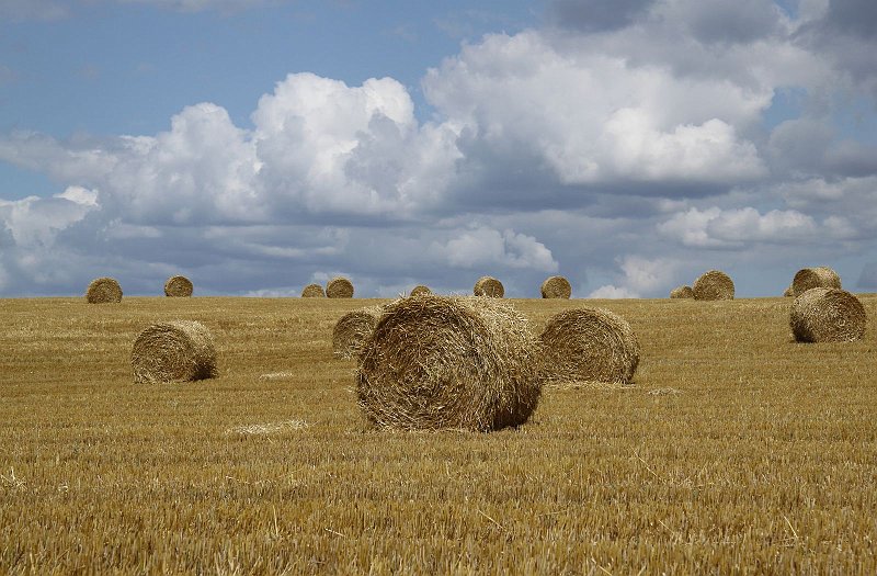 AI02.jpg - Mooi landschap met een prachtige lucht en mooie cirkels ook nog.