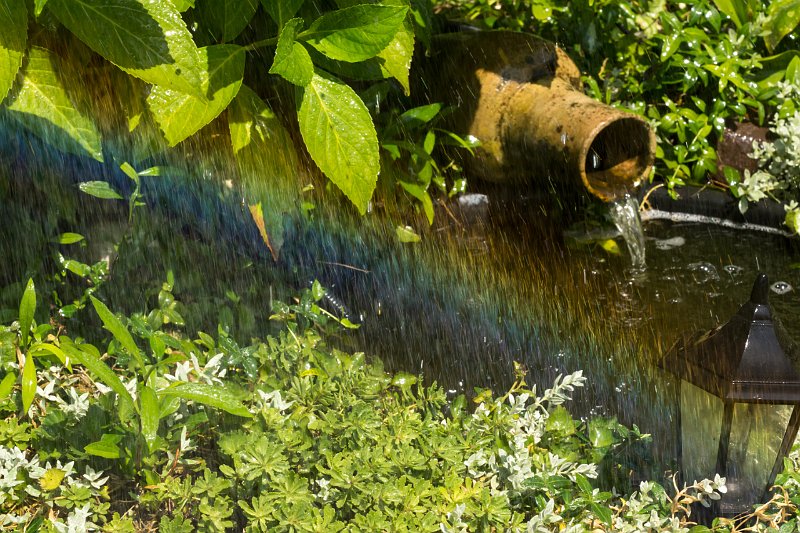 AG02.jpg - In de druppels van vermoedelijk een sproeier een duidelijke regenboog.