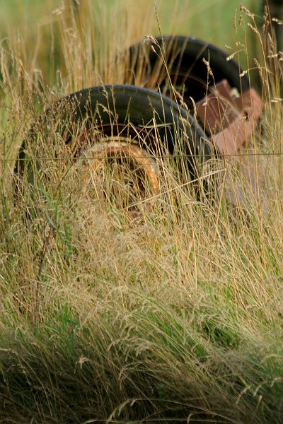 AM02.JPG - Hier staat het hele wiel er ook niet op, maar juist zo half weggevgroeid in het gras maakt het het net weer iets aparts.