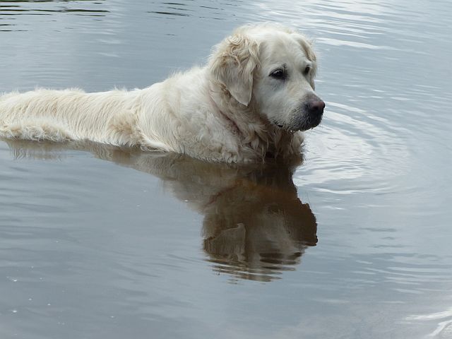 AE03.jpg - Mooi met die weerspiegeling in het water.