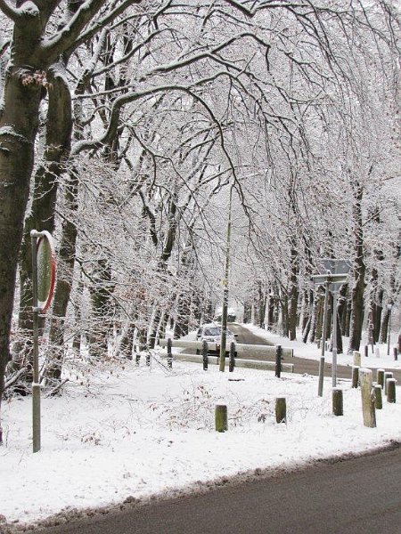 AG03.jpg - Heel mooi belicht. Ik had zelf de uitsnede iets anders gemaakt, namelijk dat het stukje weg op de voorgrond net niet meer in beeld zou staan.