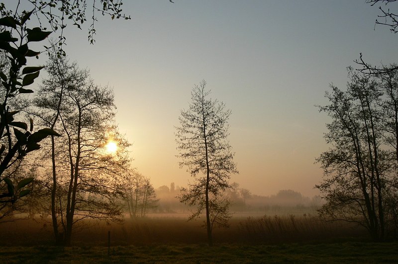 AA02.JPG - Juist met zo'n ochtend nevel er bij geeft die lichtgele gloed dat speciale "ochtend effect"