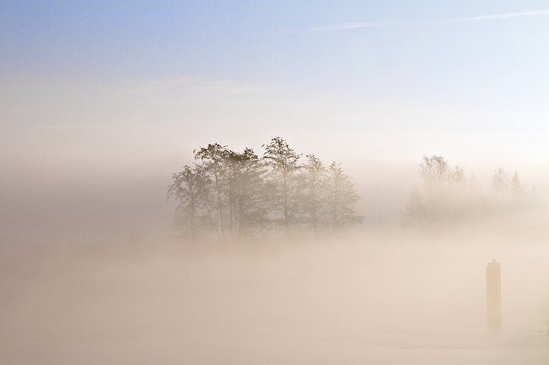 AB02.jpg - Normaal zou ik roepen jammer dat het groepje bomen in het midden staat, maar die vage paal rechts voor in de mist maakt de compositie weer helemaal goed.