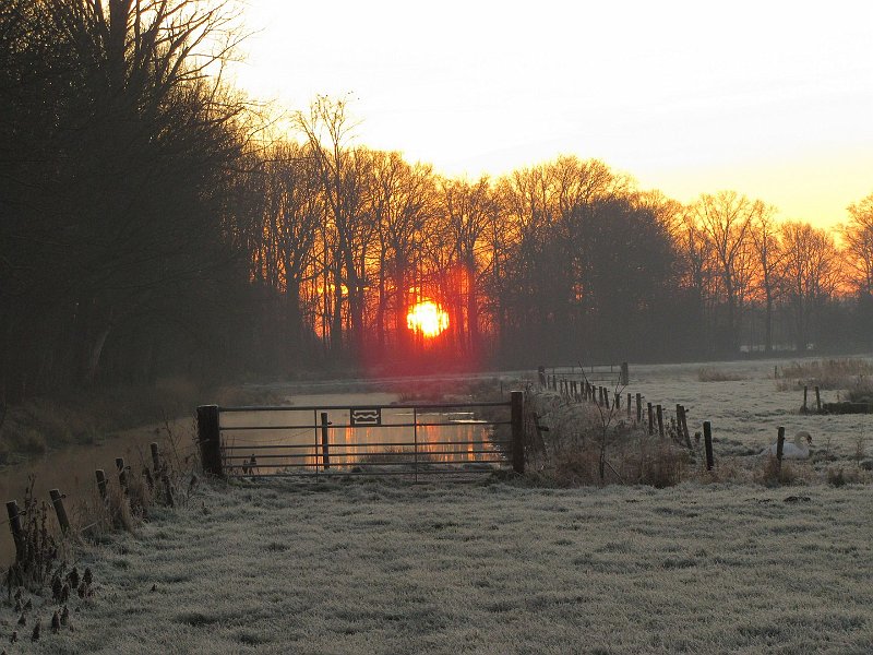 AC02.JPG - De rijp in combinatie met de mooie rode zon achter de bomen geeft een sfeervolle opname.