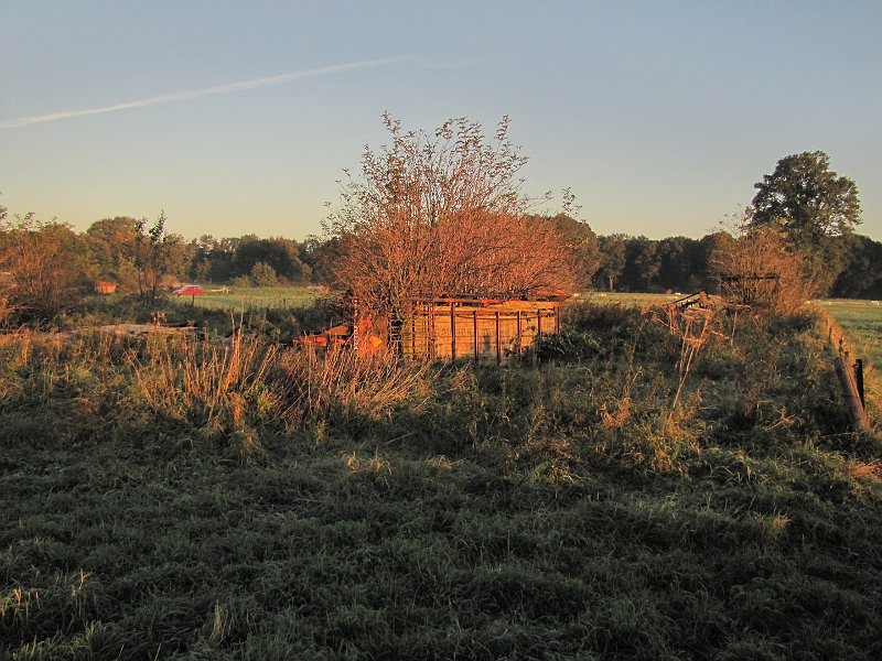 AC03.JPG - Het ruige terrein in het ochtendlicht geeft een bepaalde sfeer. Ik had hier alleen iets minder gras op de voorgrond genomen. Dat voegt namelijk niet echt iets toe aan het beeld.