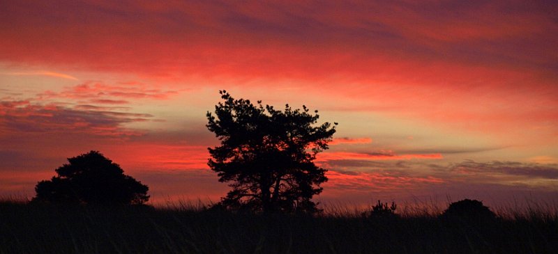 AG02.jpg - Morgenrood. Een hele mooie foto de boomsilhouetten komen ook mooi uit.