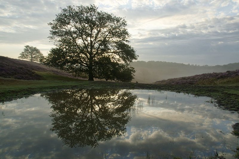 AH02.jpg - Prachtig die weerspiegeling in het water, samen met die verder af hangende ochtendnevel een geweldig plaatje. Zo mooi kan Nederland (Posbank bij Arnhem) dus zijn.