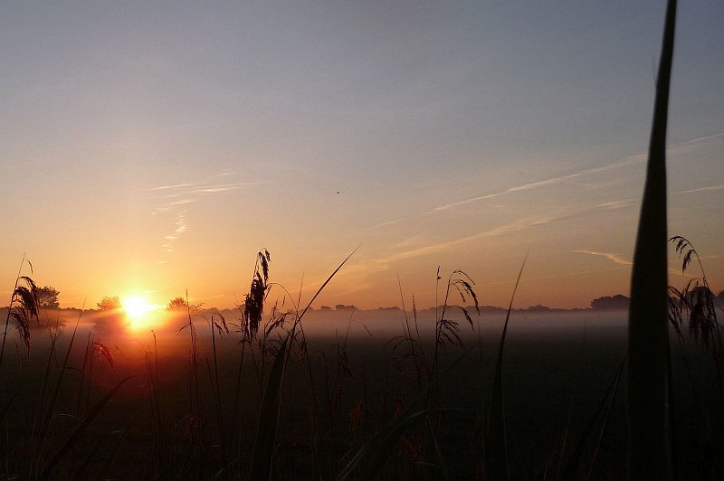 AJ03.jpg - Hier is de horizon wel recht. Ik had hier een smallere uitsnede gemaakt, want de lucht is vrij "saai".