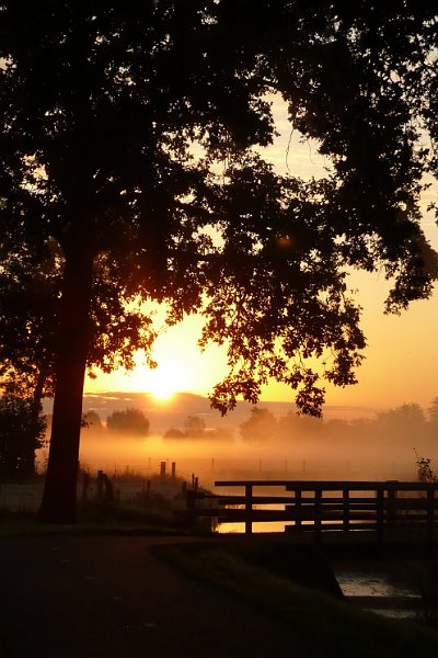 AM03.JPG - En nog zo'n mooie plaat langs het valleikanaal. Je kan daar 's morgens mooie foto's maken.