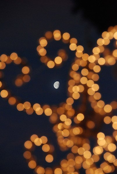 AL01.jpg - Mooi door de feestverlichting heen de maan gefotografeerd. Geeft een heel bijzonder effect!