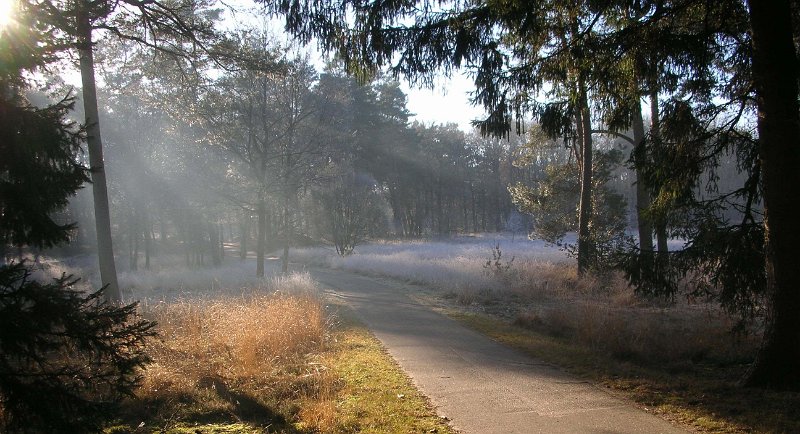 AM02.jpg - Mooi winters sfeerplaatje. Heel goede belichting.