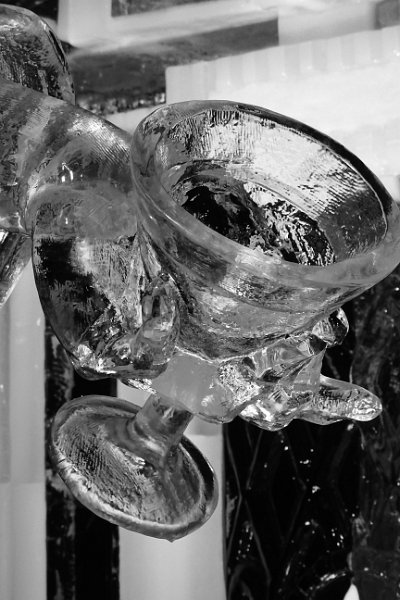 AS02.JPG - Door de ijssculptuur in zwartwit te fotograferen ben je van de kleureffecten af en komt het er nog "ijziger" uit. Goed van scherpte en belichting.
