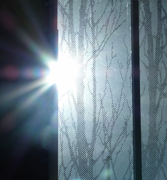 AD01.jpg - Heel mooi die zon die zo half langs het geluidsscherm heen schijnt.