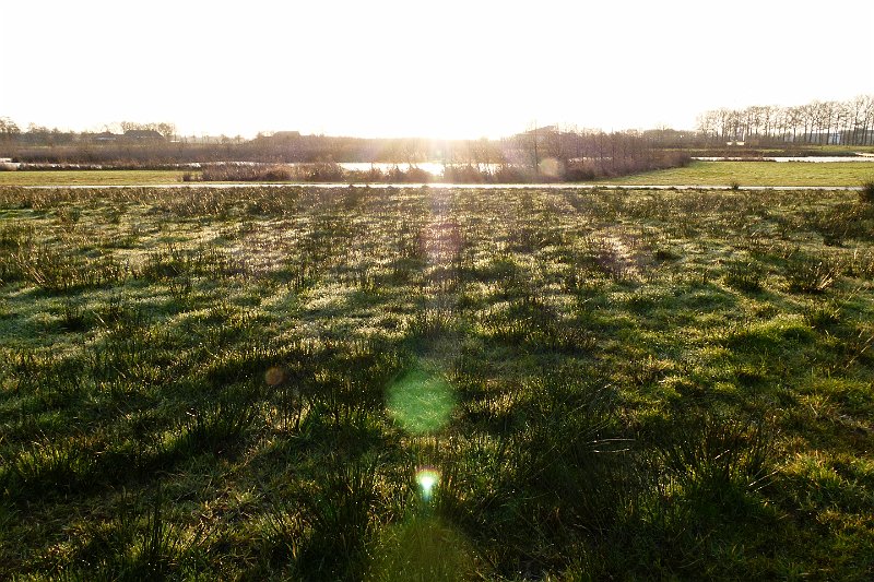 AD03.JPG - Ook hier bij het sterke tegenlicht weer mooie stralen.